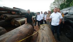 Bareskrim Polri Bongkar Kasus Illegal Logging di Murung Raya