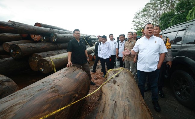 Bareskrim Polri Bongkar Kasus Illegal Logging di Murung Raya