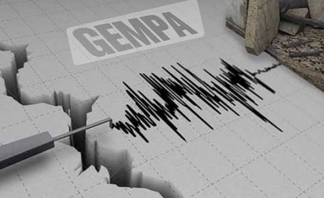 Getaran Gempa di Kalsel Terasa Hingga ke Palangka Raya, BPBD Imbau Masyarakat Tetap Tenang dan Waspada