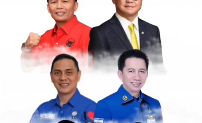 6 Caleg DPR RI Dapil Kalteng Berpeluang Ke Senayan, Ada Syauqie Hingga Andina Narang