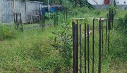 Pembangunan Asrama Pulpis Diduga Mangkrak, Mahasiswa Pulpis Tak Kunjung Miliki Asrama