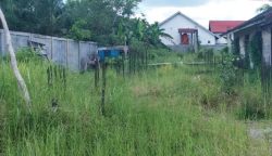 Terkait Dugaan Pembangunan Asrama Mahasiswa Pulpis Mangkrak, Kadis PUPR : Anggaran Terbatas, Pembangunan Dilakukan Bertahap