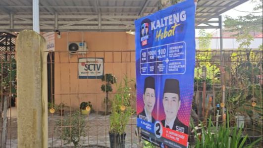 Diduga Langgar Aturan, APK Paslon Gubernur Kalteng Dipasang di Pohon Depan Kantor SCTV Palangka Raya