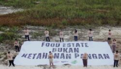 Prabowo Dilantik, Aktivis Lingkungan Ingatkan Kegagalan Food Estate di Kalteng