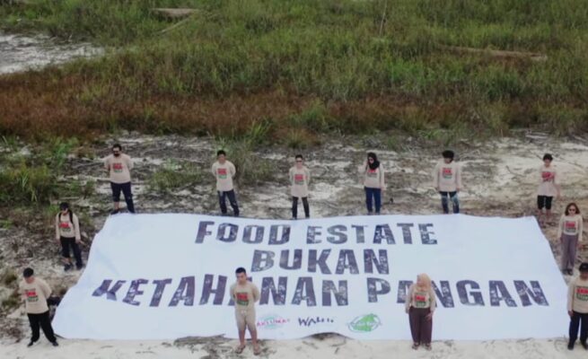 Prabowo Dilantik, Aktivis Lingkungan Ingatkan Kegagalan Food Estate di Kalteng