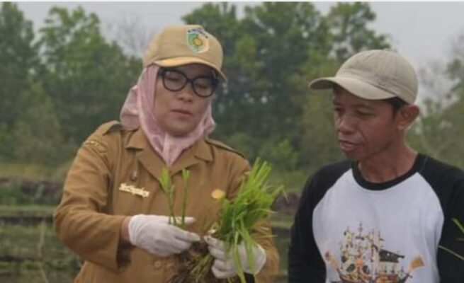 Pj Wali Kota Palangka Raya Pastikan Pembangunan Infrastruktur Pertanian Mendukung Perekonomian Daerah