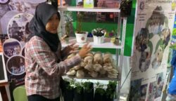 SMKN 1 Pangkalan Banteng Tampilkan Inovasi Budidaya Jamur Tiram di Gebyar Pendidikan Kalteng Berkah