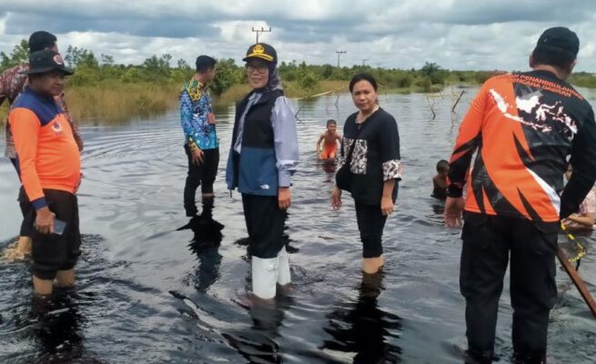 BNPB Akan Alokasikan Rp4 Miliar untuk Perbaikan Jalan di Kelurahan Petuk Katimpun