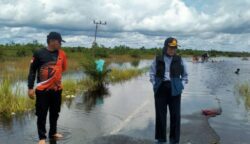 Pj Wali Kota Palangka Raya Tinjau Wilayah Tergenang Banjir