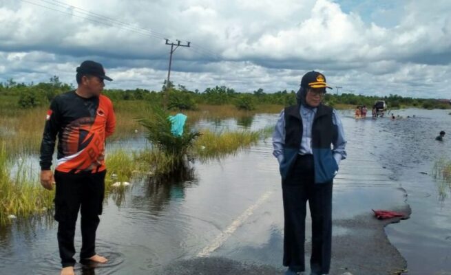 Pj Wali Kota Palangka Raya Tinjau Wilayah Tergenang Banjir
