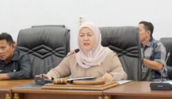Wakil Ketua II DPRD Barut, Henny Rosgiaty: PSU Harus Berjalan Transparan dan Sesuai Regulasi