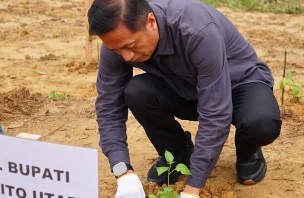 Pj Bupati Barut Ajak Masyarakat Tanam Cabai untuk Perkuat Ketahanan Pangan
