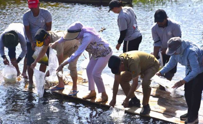 Gubernur Kalteng Tebar 38.000 Benih Ikan di Kotawaringin Barat, Dorong Penguatan Ketahanan Pangan dan Kelestarian Sumber Daya