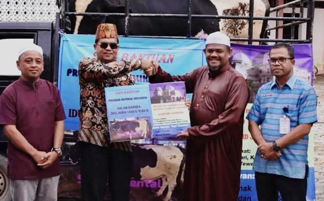 Pemkab Barito Utara Terima Bantuan Sapi Kurban Seberat 1 Ton dari Presiden Prabowo
