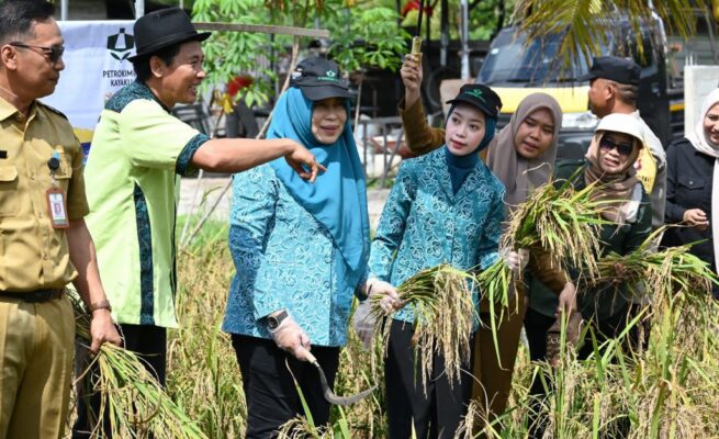 Kolaborasi Petani dan Pemko Palangka Raya Wujudkan Kemandirian Pangan Keluarga