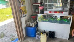 Sebuah Toko di Palangka Raya Dibobol: Pelaku Gasak Puluhan Slop Rokok dan Uang Tunai