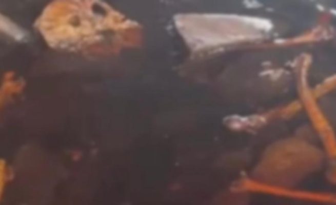Bau Menyengat Berhari-hari, Warga Sampit Dikejutkan Temuan Kerangka Mirip Manusia di Bawah Jembatan