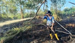 BPBD dan Tim Gabungan Berhasil Padamkan Karhutla di Jalan Hiu Putih, Lahan Gambut Seluas 0,60 Hektare Terselamatkan